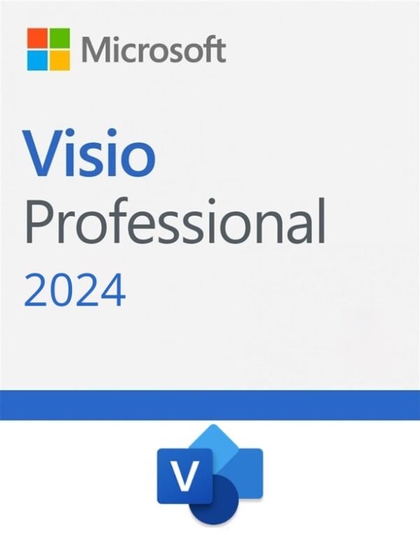 Microsoft Software Visio Professional 2024 ESD